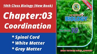 Spinal cord class 10 | Biology class 10 chapter 3 | Class 10 new biology book