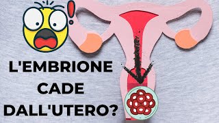 L'embrione può cadere fuori dall'utero?