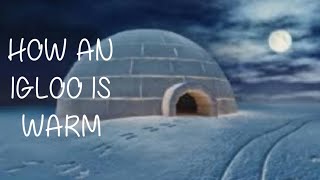 How does an Igloo keeps us warm/ lifestyle of Eskimos/ #getsmart tamil