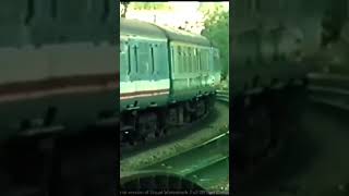 A feeble horn from the green hoover. British Rail Class 50. Filmed at Salisbury on VHS in 1987