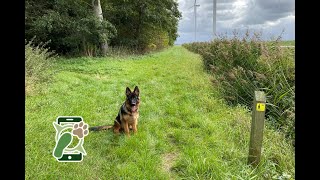 Losloopgebied Swifterbos Swifterbant (Flevoland)