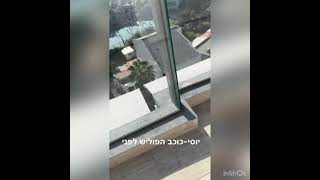 יוסי-כוכב הפוליש ניקיון דירה לאחר שיפוץ 📞-0535925817 לפני,אחרי👆