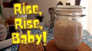 WATCH OUR SOURDOUGH STARTER GROW!