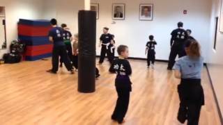 Little Cranes Kung Fu Class