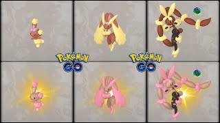 Pokemon GO: Mega Evolving Normal & Shiny Buneary into Normal & Shiny Lopunny And Mega Lopunny