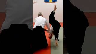 Aikido in normal speed: KOKYU NAGE, by Stefan Stenudd