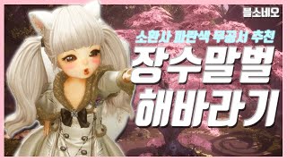 [블소네오] 소환사 장수말벌&해바라기 무공서 추천