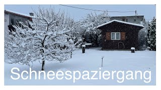 JJ’s Schneespaziergang im Kleingartenverein Gartenfreunde 12