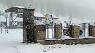 Live snow fall in Kashmir valley now. #snow #kashmir #kashmirvalley