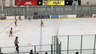 U13A Flamborough Sabres VS Halton Hills Thunder