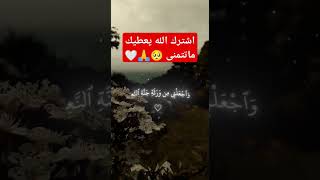 #القرآن_الكريم