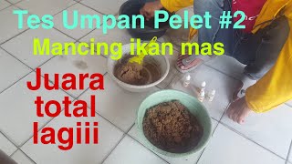 Umpan Pelet Juara Total