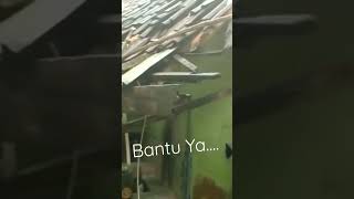 bantu donasi yu