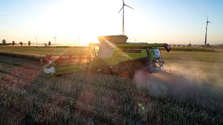 12 Meter vs. 50ha-Schlag | LU Batenhorst mit CLAAS Lexion 780 und 1200 Vario im Raps | HAWE ÜLW