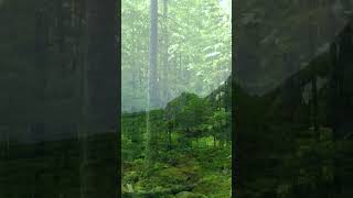 forest #shorts #youtubeshorts #youtubeshorts #viral #viralvideo #youtube