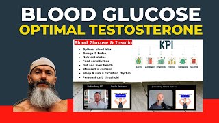 Blood Glucose: The Unsung Hero For Optimal Testosterone