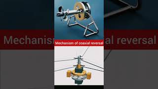 Mechanisms of coaxial reversal: 3d animation! #Shorts