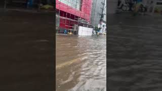 Full water in Vijayawada Bandar road || Vijayawada main roads filled with water