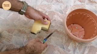 اصنع مزهرية لحديقة منزلك Diy Cement pot #shorts