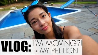 VLOG || APARTMENT SHOPPING + MY LION