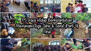 P5 Gaya Hidup Berkelanjutan : Menanam Toga Jahe & Serai |Part 4| Final