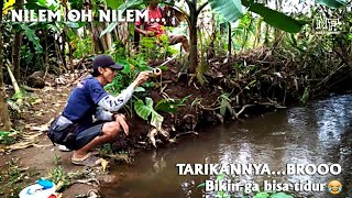 Ikan favorite para pemancing selokan #microfishing #nakafishing #mancingwader #mancingnilem