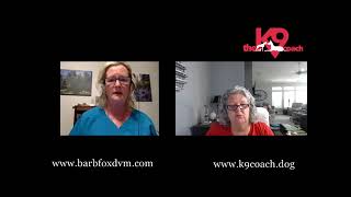 Discussing Emotions In Dogs With Dr. Barb Fox