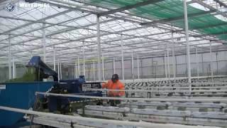 Bio Chopper Compact shredding tomatoes and synthetic twine in tomato nursery crop rotation