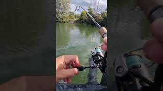 perche en UL 🎣🎣 #pêche #perche #floattube