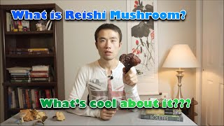 Medicinal Reishi Mushroom? Chinese folklore and such 在哪里找野生灵芝?