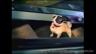 Advair - "Runaway Dog" - Comercial de TV - Propaganda com Pug