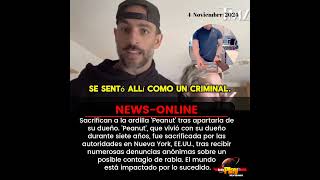 #NewsOnline📰 - #EstadosUnidos🇺🇸 ▶️ Sacrifican a la ardilla 'Peanut' tras apartarla de su dueño.