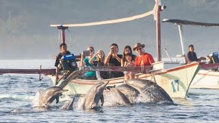 Indahnya Pantai LOVINA, Wisata Ikan Lumba lumba - Singaraja, bali