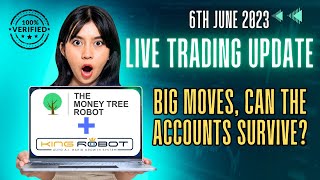 King Robot and MoneyTree - BIG moves and BIG losses - Live Trading Results - 6th June 2023