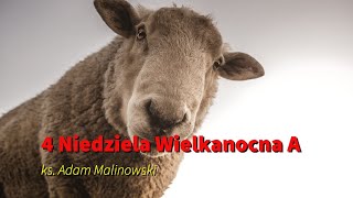 4 Niedziela Wielkanocna rok A