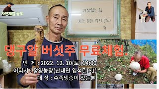 정영농장 댕구알 버섯주 무료체험 2022년 12월 10일 토요일 오후 2시에 만나요