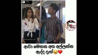 meme 008 මීටරෙන් ජීවිතේ 😂