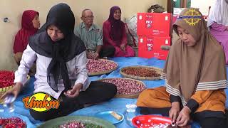 UMKM Channel - Sambal Bubuk Mak'e Ndang Kab. Grobogan