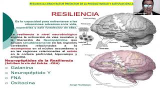 La Resiliencia Como Predictor De La Satisfaccion