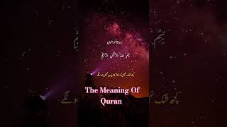 Quran Tilawat | Quran Meaning In Urdu Tarjuma | Top Trending Video | #ytshorts #duet