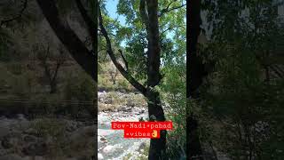 Kaya jagah hai #trending #travel #travelvlog #river #himachal #food #view #shorts #youtubeshorts