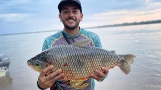 PIAUCU GIGANTE EM PORTO RICO PARANÁ! primeiro dia