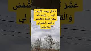 ١٢ ديسمبر، ٢٠٢٤