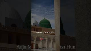 Kamiyabi Toh Tab Milegi - Peer Ajmal Raza Qadri Short Bayan Status - Islamic Status Bayan #ytshorts