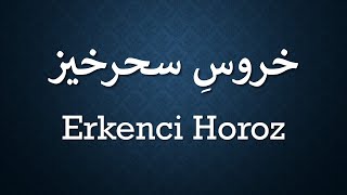 Erkenci Horoz   /   خروس سحرخیز