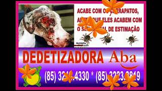 DEDETIZAÇÃO PARQUE POTIRA 85 3214 4330 * (85) 98406.0357