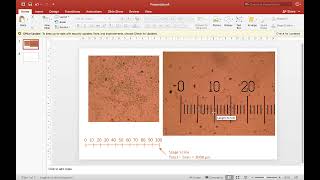 Preparing Microscopy Images with Scale Bars