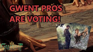 What Pro-Players Are Voting For? Gwent Voting no. 2!