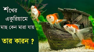 Why Fish dying in aquarium | why do fish die?| একুরিয়ামে মাছ কেন মারা যায় | aquarium