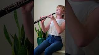 Solitary Warrior Revali (Champions’ Ballad)- Breath of the Wild oboe cover